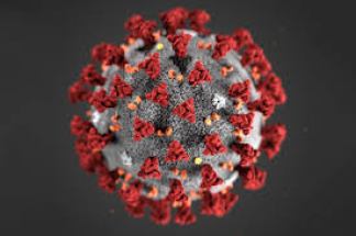 Už COVID-19 pandemiją atsakingas koronavirusas SARS-CoV-2